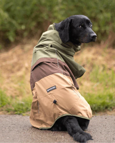 Style for You and Your Best Friend